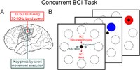 Concurrent control of a brain-computer interface and natural overt movements